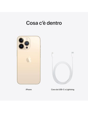 APPLE IPHONE 13 Pro Max 128GB Gold Grado A+ Ricon.