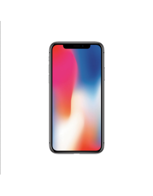 APPLE IPHONE X 256GB Grey Grado A- Ricon.