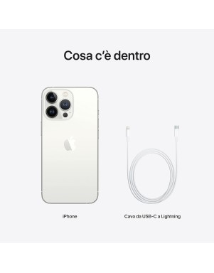 APPLE IPHONE 13 Pro Max 1TB Silver Grado A+ Ricon.