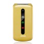BRONDI PRESIDENT GOLD Apertura a Flip, Display 3 '' Quadri Band - Foto 1,3 Mpx, Bluetooth 2.1 - Dual SIM
