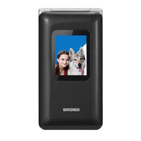 BRONDI AMICO PREZIOSO Black Metal, Apertura a FLIP