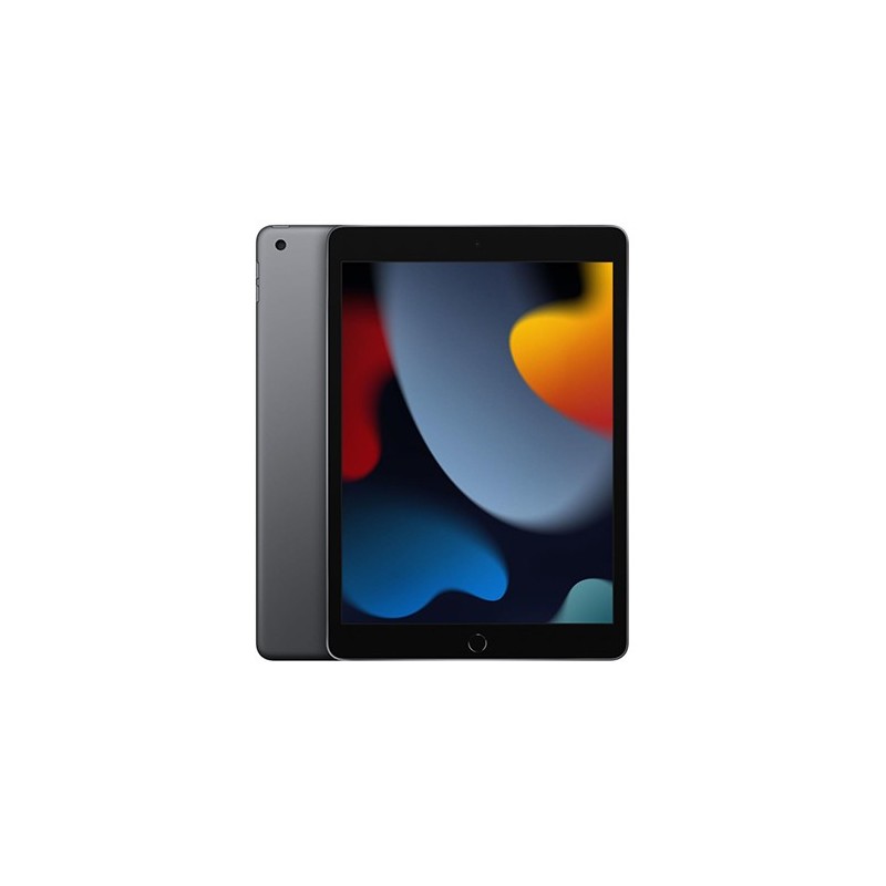 APPLE IPAD 10.2 64GB 9 Gen. MK2K3LL WiFi Space Grey USA